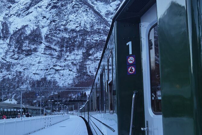 1Day Tour from Bergen to Flåm, Nærøyfjord Cruise & Stegastein - Key points to know before booking