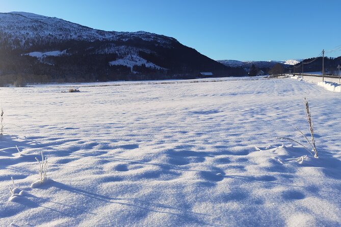 1Day Tour from Bergen to Flåm, Nærøyfjord Cruise & Stegastein - Voss gives the day an active beginning