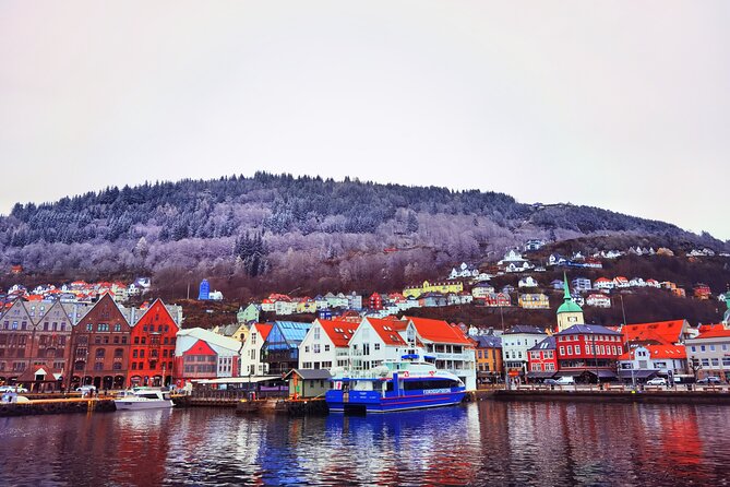 1Day Tour from Bergen to Flåm, Nærøyfjord Cruise & Stegastein - Nærøyfjord is the heart of the day