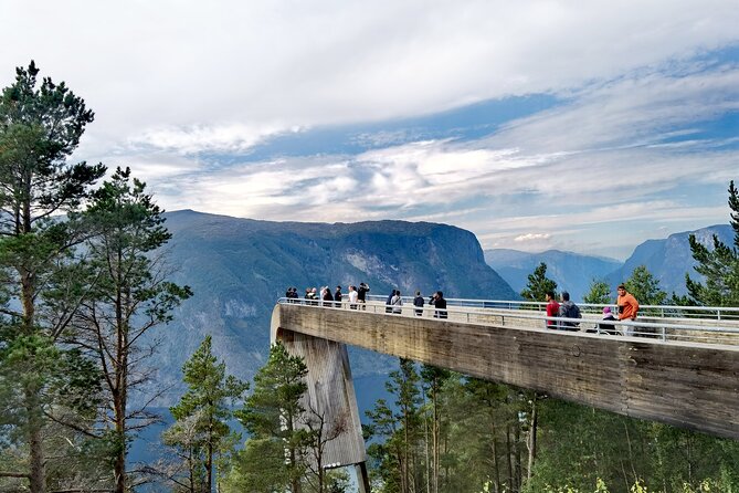 1Day Tour from Bergen to Flåm, Nærøyfjord Cruise & Stegastein - The Flåm Railway is the key optional upgrade