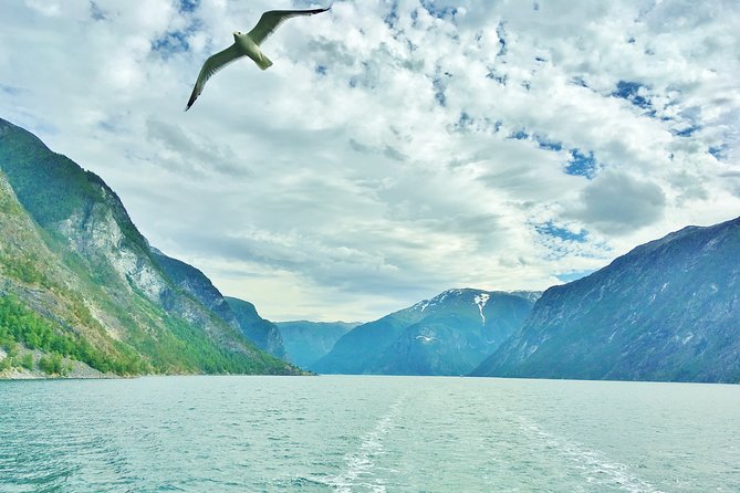 2-Day Round Trip from Bergen: THE GRAND SOGNEFJORD – fjords, waterfalls, glacier - Lærdal, Borgund, and the crossing of Sognefjord