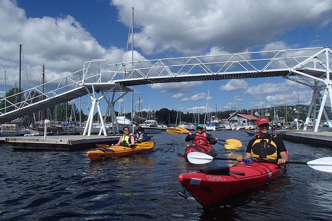 2- hour kayak trip on the Oslo Fjord - How the guide support affects the experience