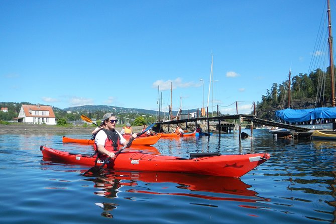 2- hour kayak trip on the Oslo Fjord - Who should book this outing