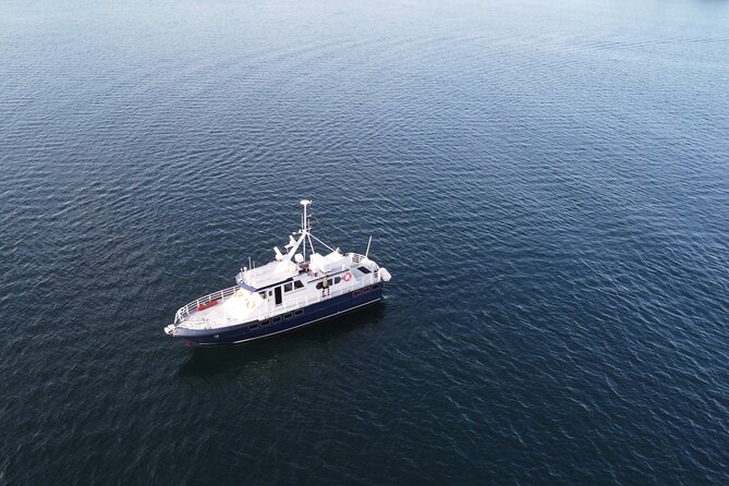 3.5-Hour Arctic Magic with Fjord and Whale Watching Adventure - Who Will Get the Most From This Trip
