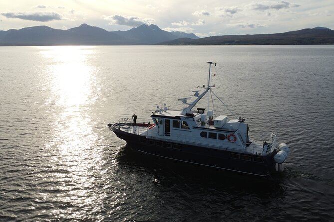 3.5-Hour Arctic Magic with Fjord and Whale Watching Adventure - Why the Staff Matter on a Rough Day