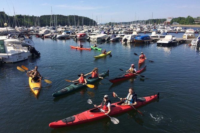 3- Hour Kayak Tour on the Oslofjord - Starting at Sjølyst Marina at 10:00