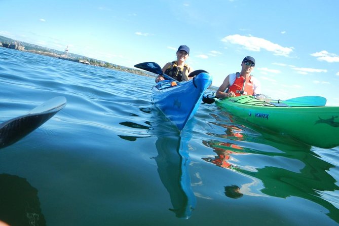 3- Hour Kayak Tour on the Oslofjord - Bygdøy Peninsula, beaches, and small islands
