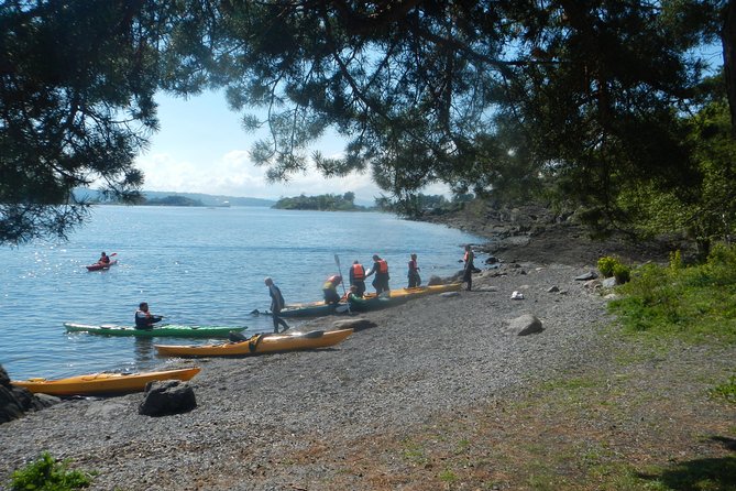 3- Hour Kayak Tour on the Oslofjord - Houseboats, saunas, and Fornebu views