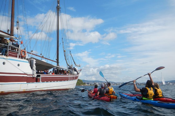 3- Hour Kayak Tour on the Oslofjord - How hard is the three-hour paddle?