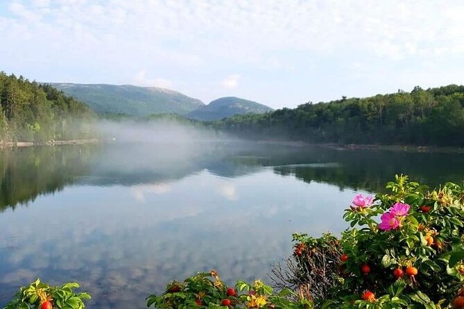 3 Hour: Personalized & Private Acadia with Somes Sound - Somes Sound and the island’s narrow waterway