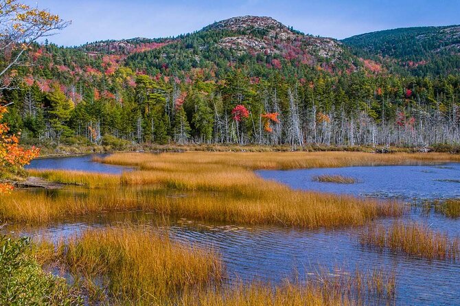 3 Hour: Personalized & Private Acadia with Somes Sound - Northeast Harbor for coffee, shops, and harbor views