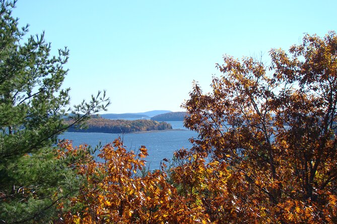 3 Hour: Personalized & Private Acadia with Somes Sound - What Jeff adds to the experience