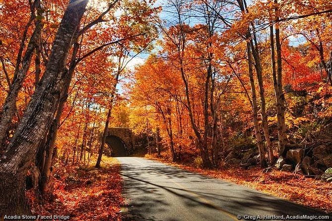 4 Hour: Elite & Exclusive Acadia with Fjord and Mansions - Park Loop Road and the Rockefeller Connection