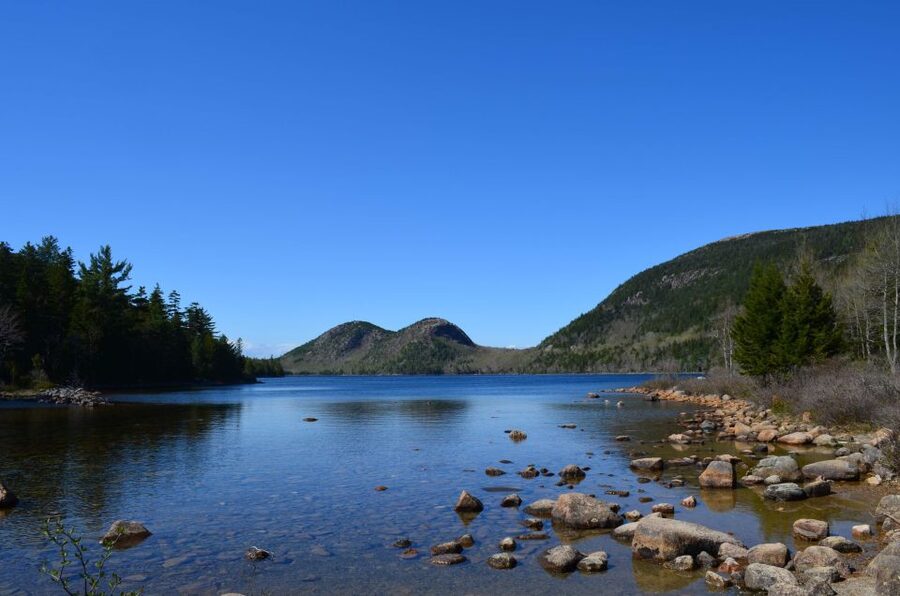4 Hour Private Tour: Acadia, Fjord, Gardens & Mansions - Key points to know before booking