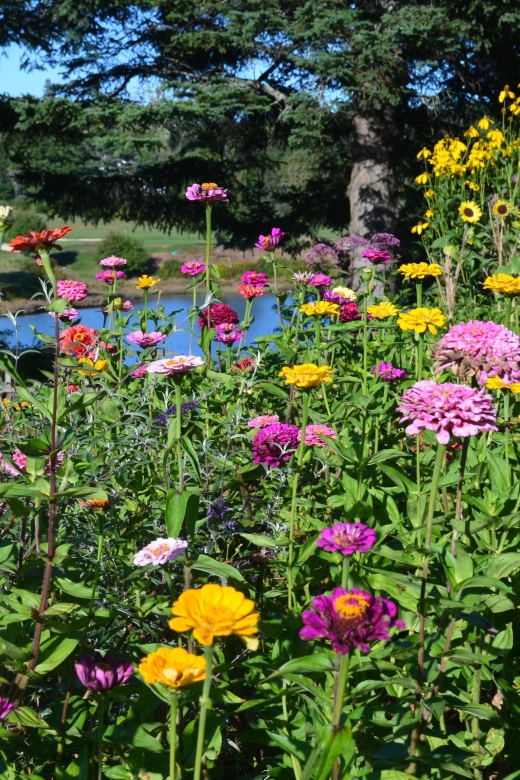 4 Hour Private Tour: Acadia, Fjord, Gardens & Mansions - Who should book this Acadia tour?