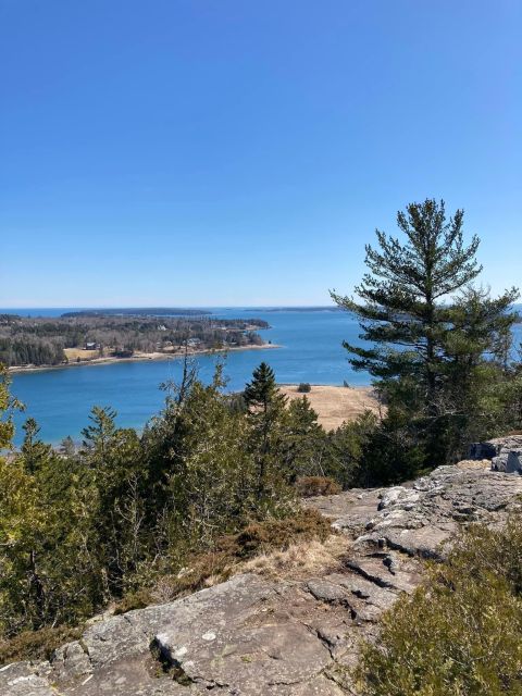4 Hour Private Tour: Acadia, Fjord, Gardens & Mansions - A private way to see Acadia in four hours
