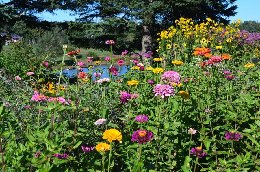 4 Hour Private Tour: Acadia, Fjord, Gardens & Mansions - Pickup, reservations, and what the price covers
