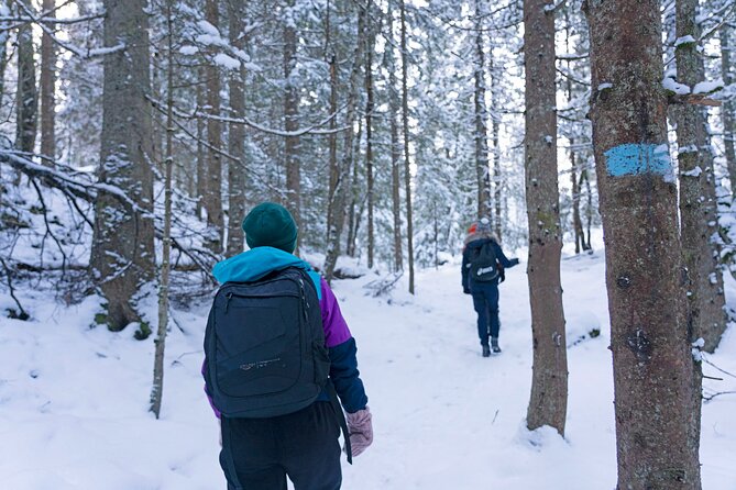 4 hours Best View of the Oslofjord Winter Edition - What the four-hour timing really means