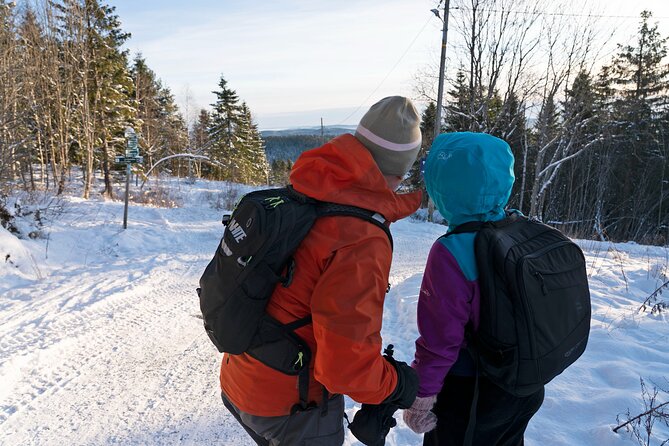 4 hours Best View of the Oslofjord Winter Edition - Group size and guide style