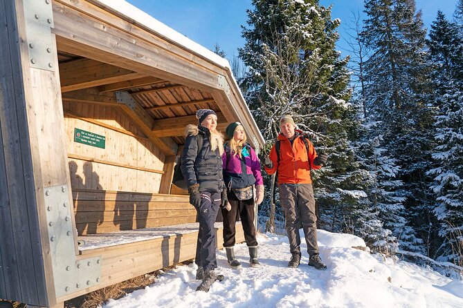 4 hours Best View of the Oslofjord Winter Edition - Is $107.17 a fair price?