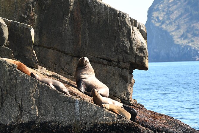 8hr Kenai Fjords Whale Watching Tour w/ 1hr Fishing 16 Passengers - Is $459 a fair price?