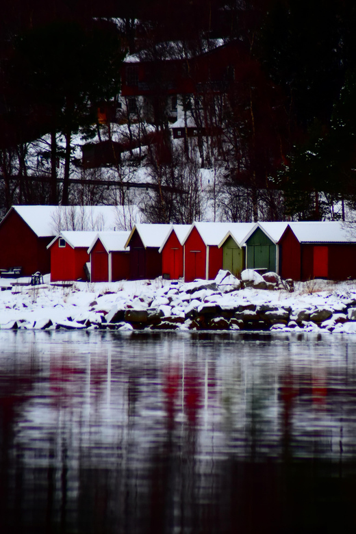 Abisko: Fjord Sightseeing and Photography Tour - The minivan, timing, and comfort