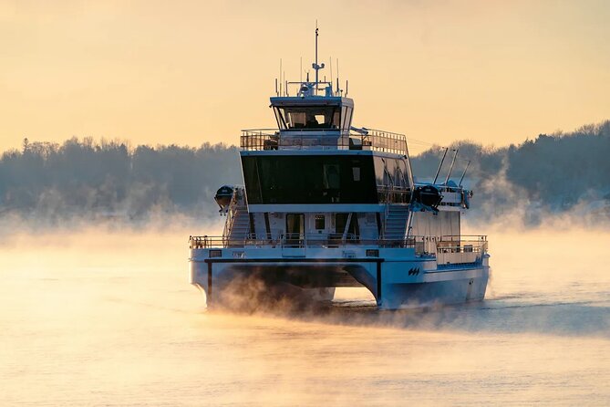 Afternoon Tea and Classic Concert on the Fjord - Why the electric MS Brisen changes the mood