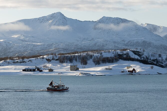 All-Inclusive Arctic Fjords and Sommarøy Scenic Tour - Key points to know before booking