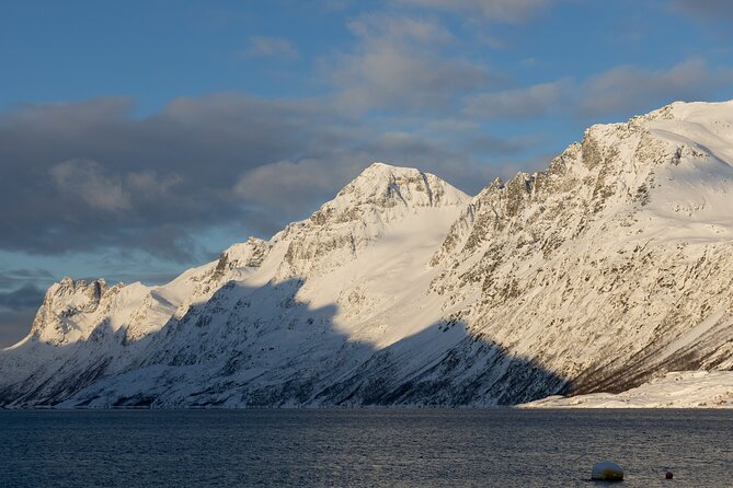 All-Inclusive Arctic Fjords and Sommarøy Scenic Tour - Why Kvaløya makes a better day trip than a rushed city outing