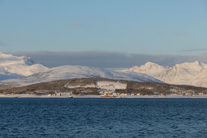 All-Inclusive Arctic Fjords and Sommarøy Scenic Tour - Who will enjoy this Kvaløya day trip most