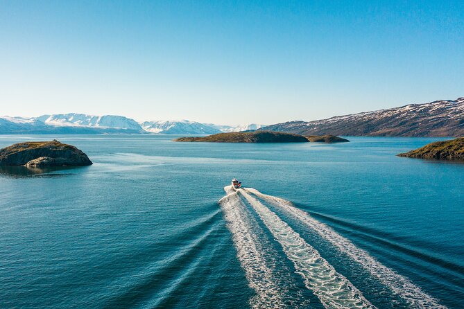 Alta: 2 Hours Guided Adventure Cruise in Alta Fjord - Key points to know before you book