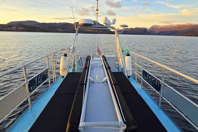Alta: 2 Hours Guided Adventure Cruise in Alta Fjord - Who will enjoy this fjord adventure?