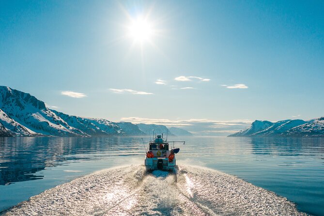 Alta: 2 Hours Guided Adventure Cruise in Alta Fjord - Wildlife watching around the islands