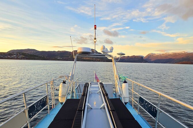 Alta Fjord: Whale Safari Experience - When weather changes the whale safari