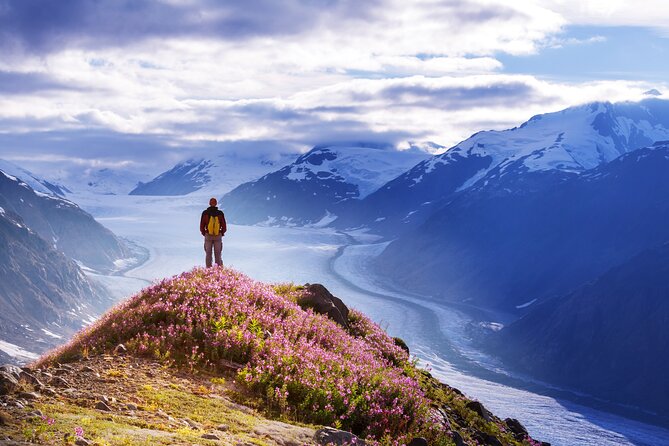 Anchorage: Kenai Fjords & Denali National Park 5 Day 4 Night Tour - What the $2,599 price really covers