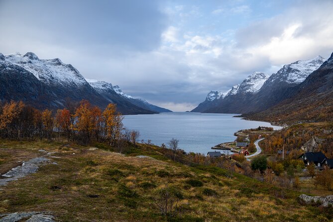 Arctic Fjord Roadtrip with Scenic Picnic from Tromso - Weather can reshape the whole day