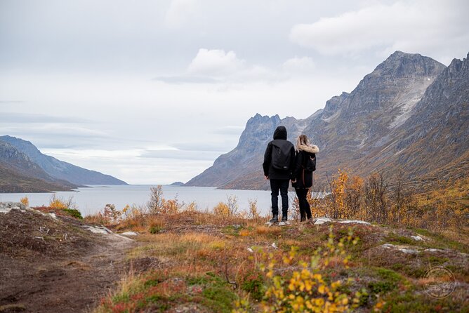 Arctic Fjord Roadtrip with Scenic Picnic from Tromso - The guides make the difference