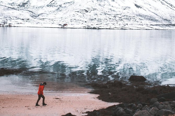 Arctic Fjord Sightseeing by Minibus - Sommarøy brings the biggest views