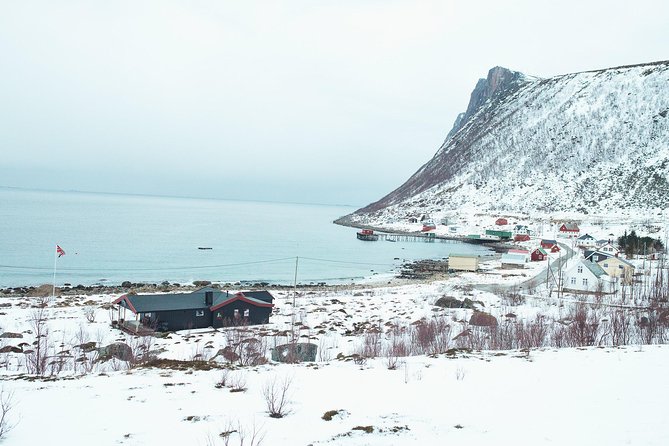 Arctic Fjord Sightseeing by Minibus - What $136.99 buys you