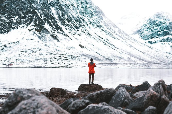 Arctic Fjord Sightseeing by Minibus - Ersfjord shows the quieter side of Kvaløya