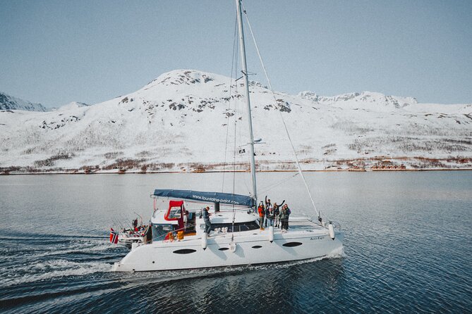 Arctic Fjordcruise & Safari in Tromso with Luxury Catamaran - A short cruise with a local point of view