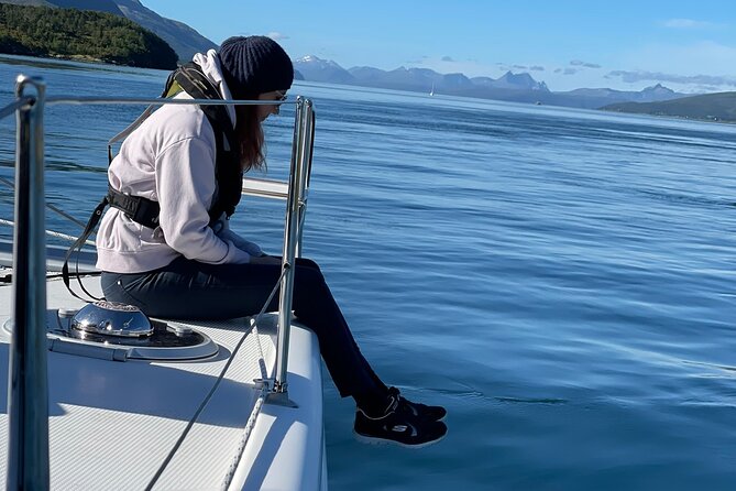 Arctic Fjordcruise & Safari in Tromso with Luxury Catamaran - Rya and the chance to see wildlife