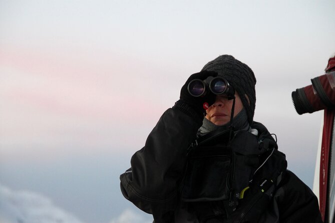 Arctic Fjordcruise & Safari in Tromso with Luxury Catamaran - Is the price good value?