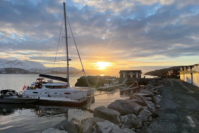 Arctic Fjordcruise & Safari in Tromso with Luxury Catamaran - Setting out from Fredrik Langes gate 2