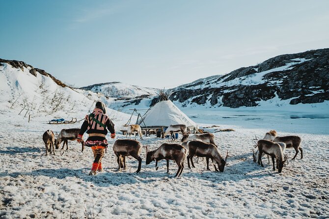 Arctic Fjords and Reindeer Experience – Small group tour - Key points at a glance