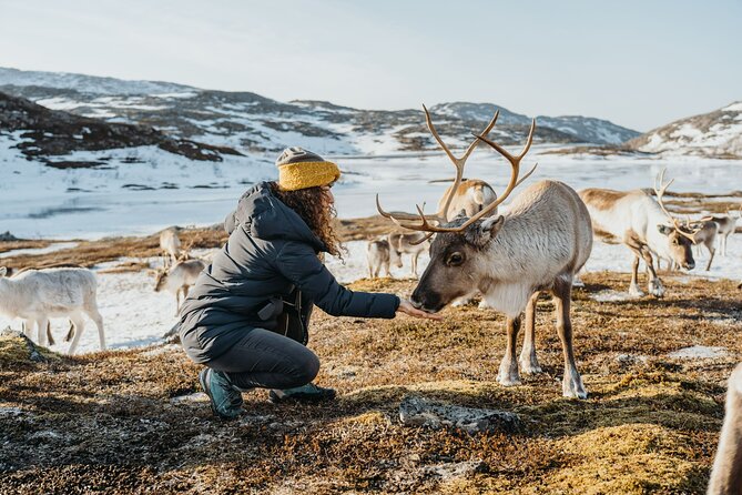 Arctic Fjords and Reindeer Experience – Small group tour - How the six-and-a-half-hour schedule feels