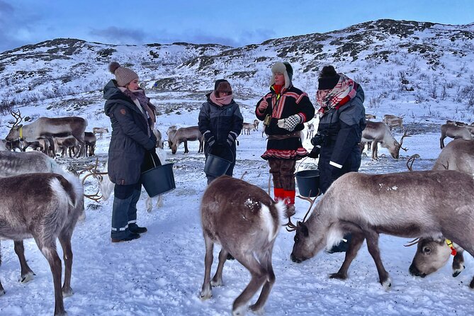 Arctic Fjords and Reindeer Experience – Small group tour - Is $291.53 a fair price?