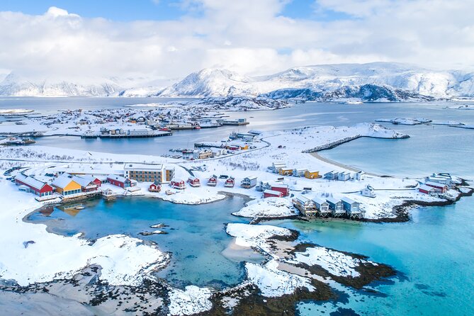 Arctic Fjords and Reindeer Experience – Small group tour - Who should book this Tromsø day trip?