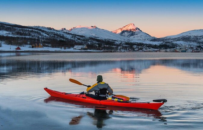 Arctic Fjords Road Trip - Key points to know before booking