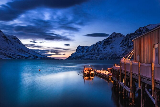 Arctic Wildlife and Fjord Sightseeing - Key points to know before you book